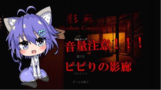 [LIVE] 音量注意！！飲酒しながら影廊🍶　steam版