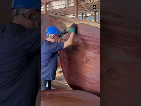 Most expensive wood 🤑#short