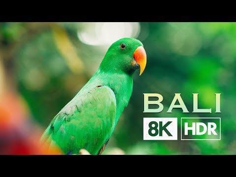 Bali 8K HDR