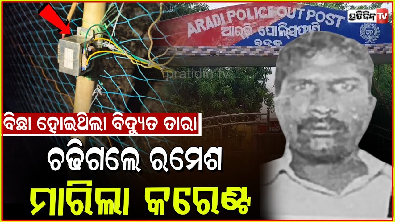 ଧାନ ସୁରକ୍ଷା ପାଇଁ ବସେଇଥିଲେ ଫାଶ ହେଲେ ଜନ୍ତୁ ଜାଗାରେ ଫଶିଗଲେ ରମେଶ ! Farmer dies in animal trap, Bhadrak.