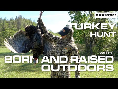 Finding Turkeys with Born And Raised Outdoors in Oregon