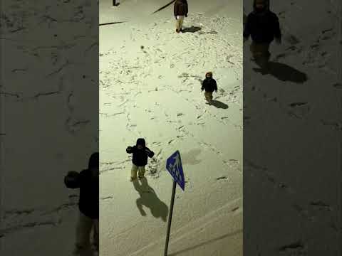 V. 경기도  시흥에  실시간  내리는 눈  눈구경못하는 포항에서 영상으로