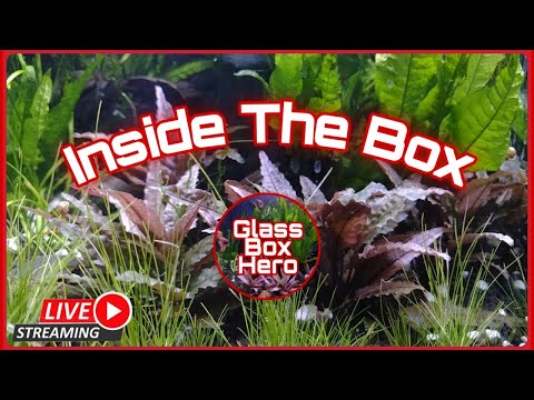 Inside The Box - Episode 5 Be sure to check out my Patreon if you want to support my channel_
       https_//www.patreon.com/Gl