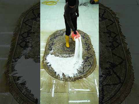 From Dirty to Fresh | Professional Carpet Cleaning #satisfying #asmr #carpetcleaning