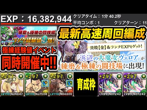 【育成枠あり】水着ヴェロア乱入と極練９倍が同時開催中！片サレアポピス編成で高速周回！【パズドラ】