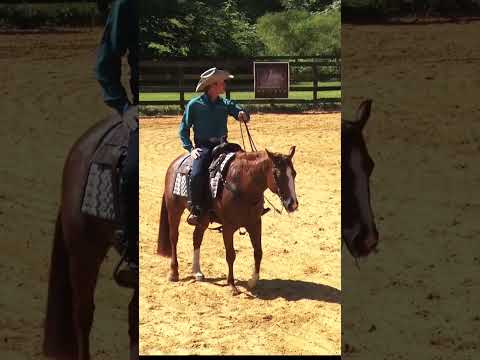Bud Lyon Teaches You How to Master Hand Placement for Ranch Riding to
Wow the Judges