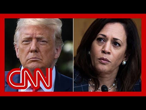 New poll shows whether Harris or Trump is leading in favorability rating