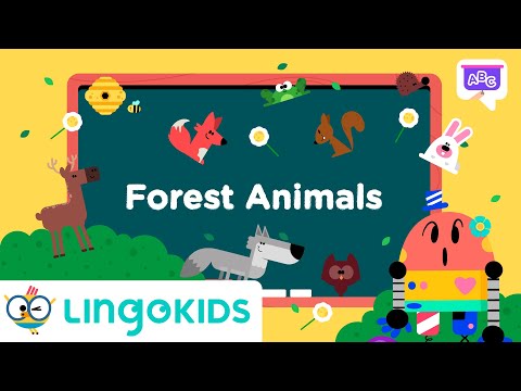 Learn about FOREST ANIMALS 🐇🐸 | Vocabulary for Kids | Lingokids