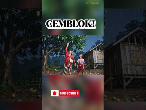 KUYANG SUKA MANGGA😱