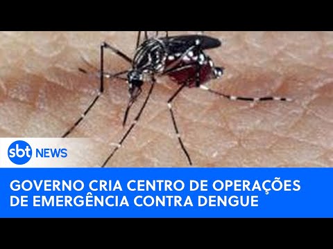 SBT News na TV: Governo cria centro de operações de emergência contra dengue; DF declara epidemia