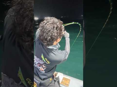 새벽 <strong>문어</strong> 조업 시작!🐙