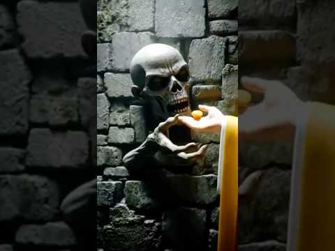 Cảm Ơn Đấng Giác Ngộ Đã Cứu Độ một Linh Hồn Nam Mô A Di Đà Phật #phatphap #buddha