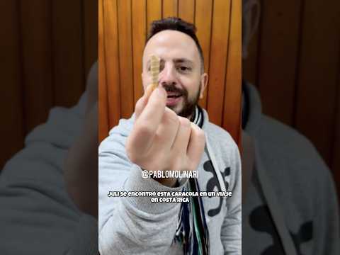 Los 2 teniamos miedo de romperla 🙈gracias ​⁠@PabloMolinari  por la confianza❤️  #ideaconcaracoles