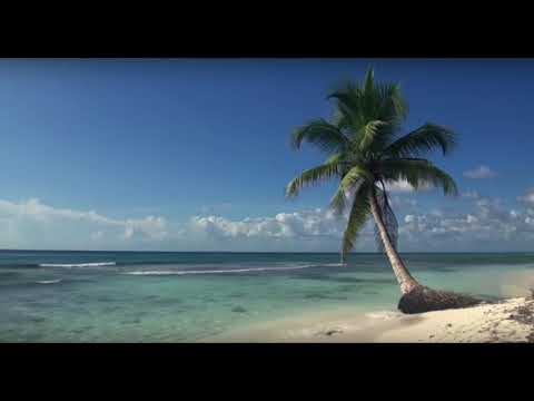 🎵Chill Out Mix 2019 & 2020 (MIXED BY D-WICKED)🎵