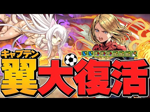 過去最強リーダーここに復活！マーベル×羽川翼で未知の新星！ほぼ別キャラの強リーダーに！【パズドラ】