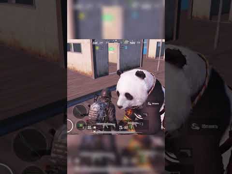 PUBG MOBILE-де Қытай Жаңа Жылы басталды!