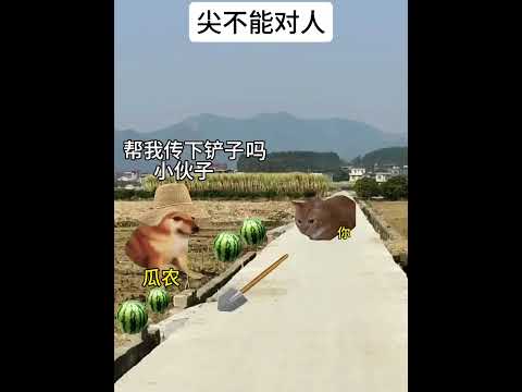 猫の動画サムネイル - 细节等于家教#有趣 #猫meme #猫meme剧场 #内容过于真实  #故事 #貓 #猫猫meme小剧场 #喵不可言