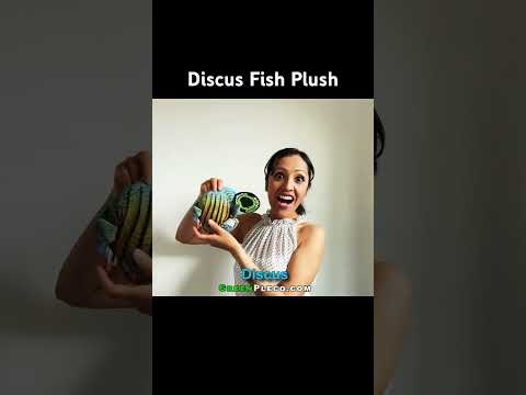 Discus Fish Plushie from GreenPleco. #cichlid #dis 