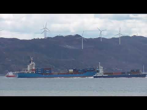 Container Ship SHECAN 4 2024
