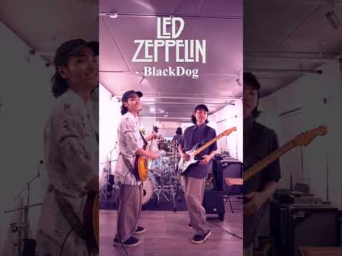 【VS06】Led Zeppelin vs Deep Purple|名リフ対決🎸#ledzeppelin #deeppurple #guitarcover