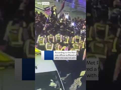 Police officers injured at pro-Palestinian rally in London
