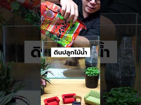 jungleinaboxจัดสวนไม้ชื้นใ