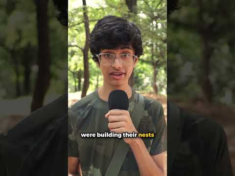 This is the Most Beautiful photo I have ever taken! #shorts #wildlife #photography