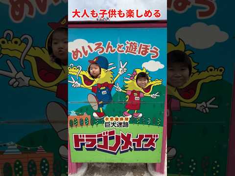 大人も子供も楽しめる巨大迷路＃子供＃家族#shorts