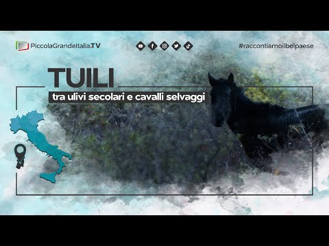 Tuili - Piccola Grande Italia