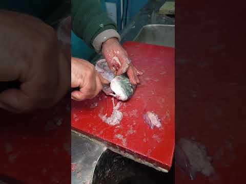 Ustam Balığı Değişik Temizliyor #fish