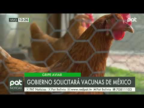 Gobierno solicitara vacuna a México