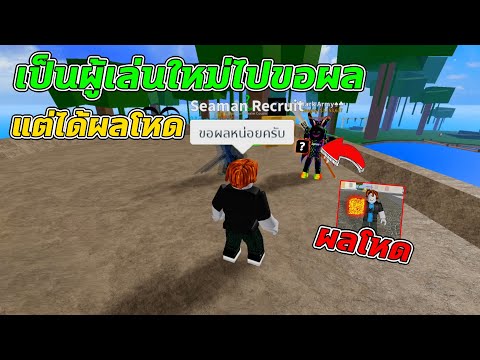 Roblox│BloxFruits13ทดสอบสังค