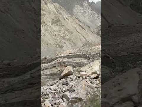 Quran Urdu translation #bayan #duet #quotes #translation #love #alquran #aslam #allah #transitions