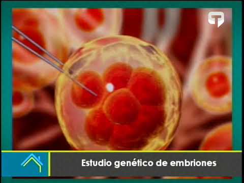 Estudio genético de embriones