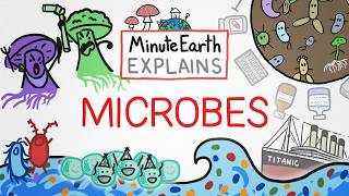 Thumbnail for the video "MinuteEarth Explains: Microbes" from MinuteEarth