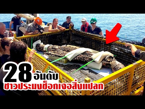 28ชาวประมงสุดช็อก!เมื่อจับสิ