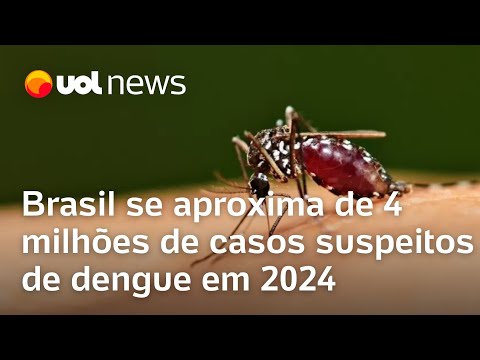 Dengue: Brasil se aproxima de 4 milhões de casos suspeitos em 2024; MG é o estado mais suspeitas