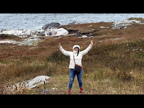 Життя в Канаді. Newfoundland. I'm happy!