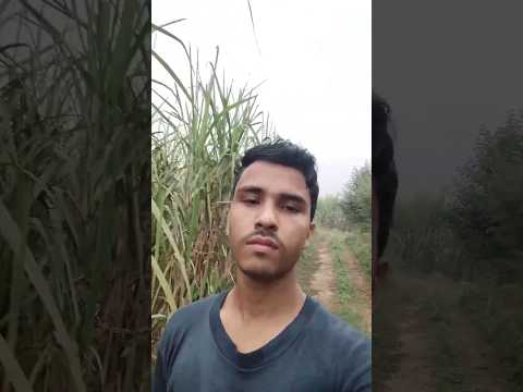 Mini Vlog 💪 #youtubeshorts #trendingshorts #minivlog