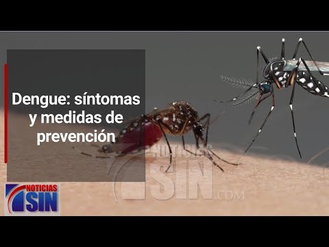 ¿Cómo prevenir la enfermedad del mosquito del Dengue?