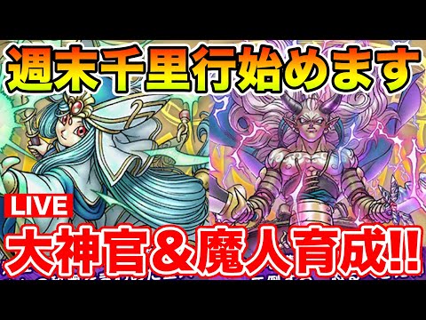 【ドラクエウォーク】週末だ!! 千里行だ!! レベリングだ!!【DQW】