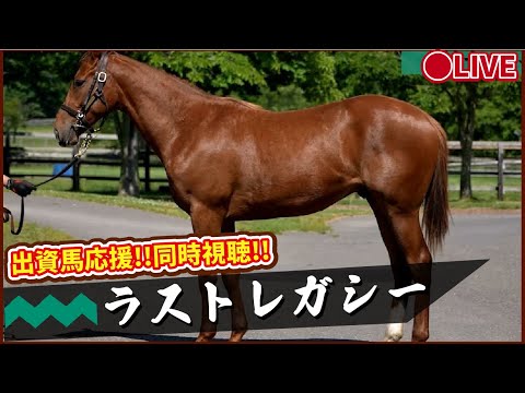 【 #ラストレガシー】今日こそ未勝利突破なるか？！福島ダート1700m！出資馬全力応援ライブ配信 ！ #推し活最高