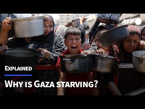 Gaza's hunger crisis explained | AFP #shorts