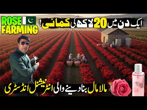 Rose Farming & Production Inside Factory | Best Billion Dollar Business Model | Made In Pakistan