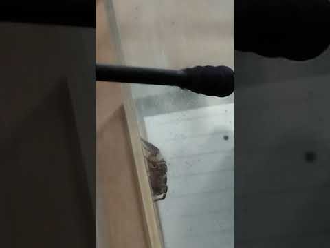thumbnail_5QRH_DpJMUI