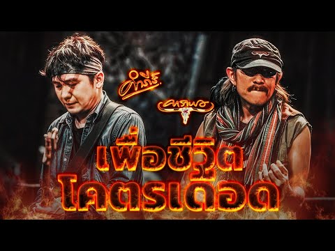 รวมเพลงเพื่อชีวิตโคตรเดือดคาร