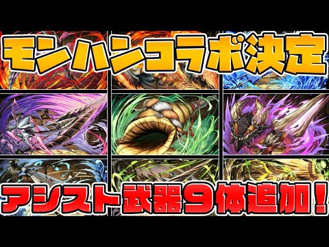 モンスターハンター9個武器追加！ぶっ壊れ多数！全武器完全解説【パズドラ】
