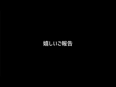ご報告