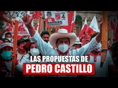 Las propuestas de Pedro Castillo | Perú Libre