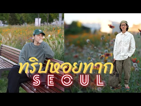 ทริปหอยทากSeoulประเทศเกาหลี